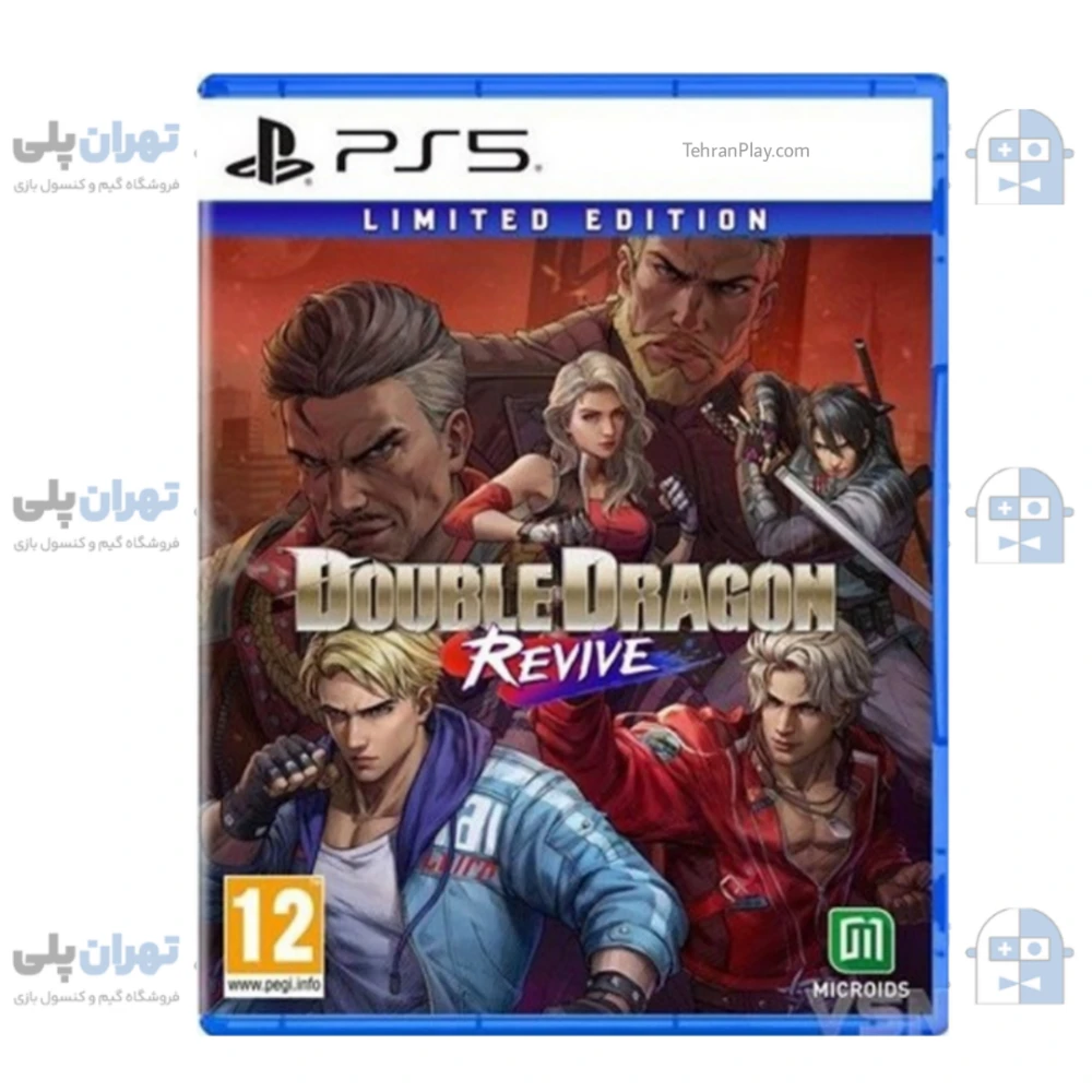 بازی Double Dragon Revive برای PS5