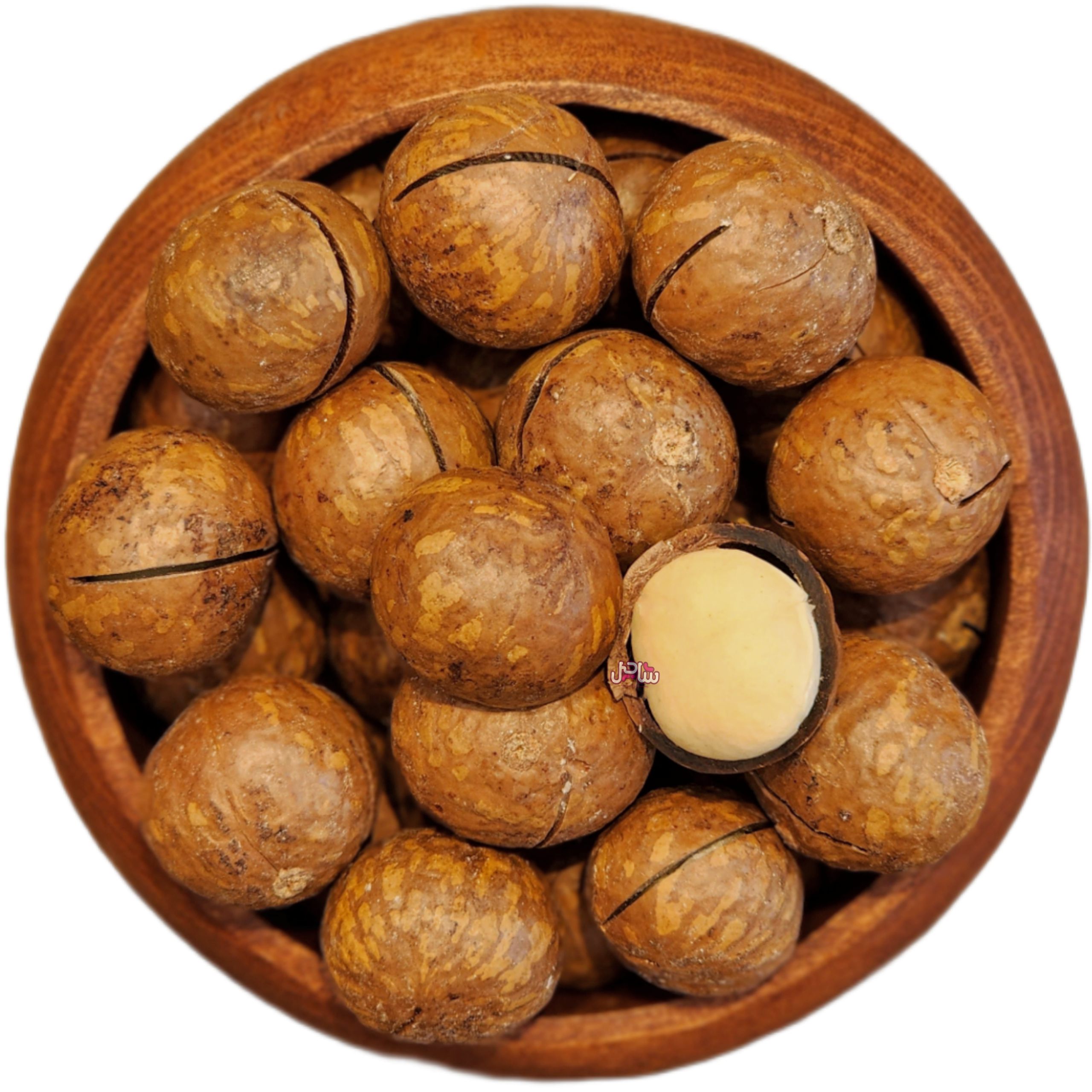 فندق ماکادمیا