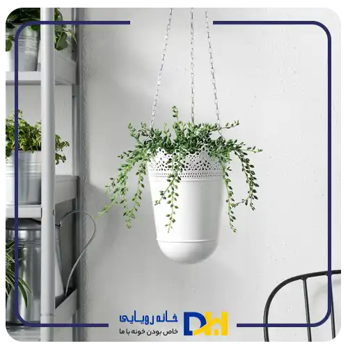بوته قوره ایکیا FEJKA